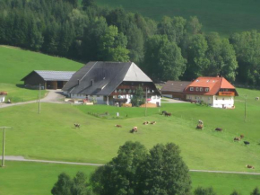 Hanisenhof